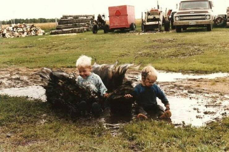 Daily Picdump Daily Picdump