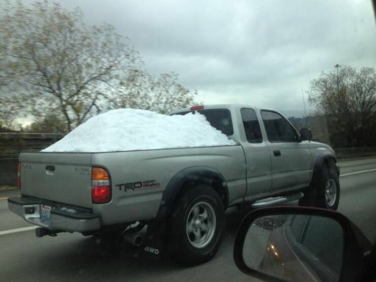 Daily Picdump Daily Picdump