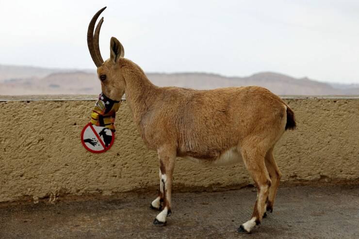 Daily Picdump Daily Picdump