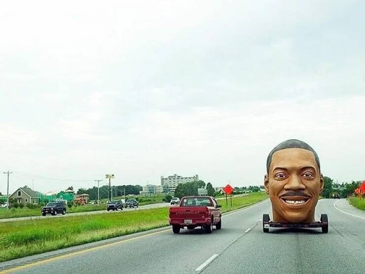 Daily Picdump Daily Picdump