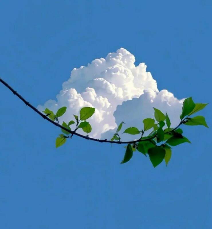 Daily Picdump Daily Picdump