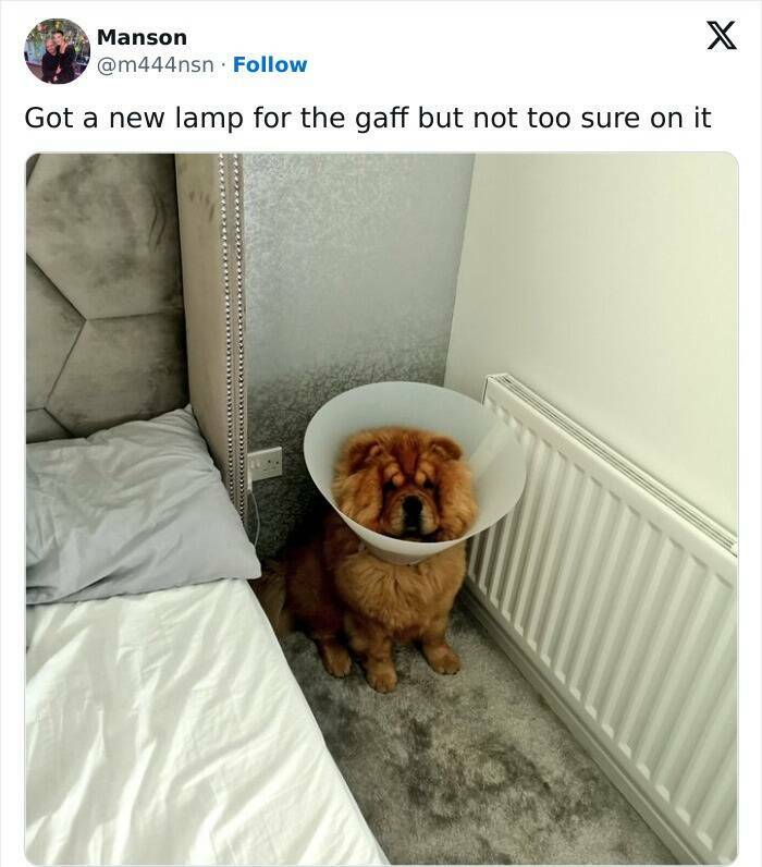 Hilarious Scottish Posts That Hit Harder Than The Wind In Edinburgh
