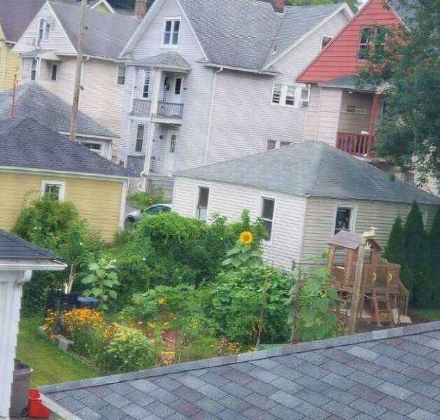 Wholesome Moments That Will Warm Your Heart