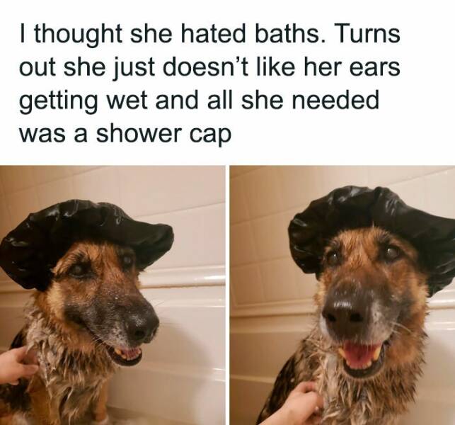 Wholesome Moments That Will Warm Your Heart