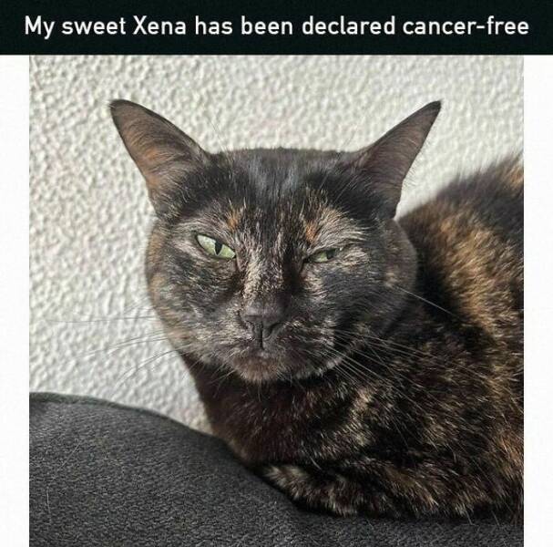 Wholesome Moments That Will Warm Your Heart