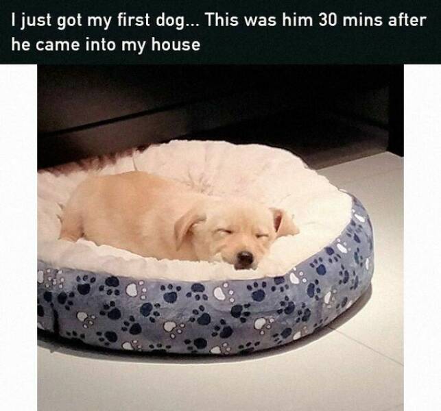 Wholesome Moments That Will Warm Your Heart