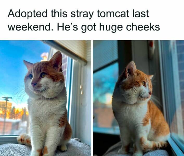 Wholesome Moments That Will Warm Your Heart