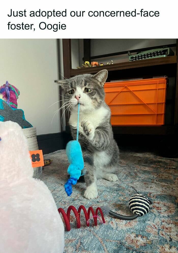 Wholesome Moments That Will Warm Your Heart