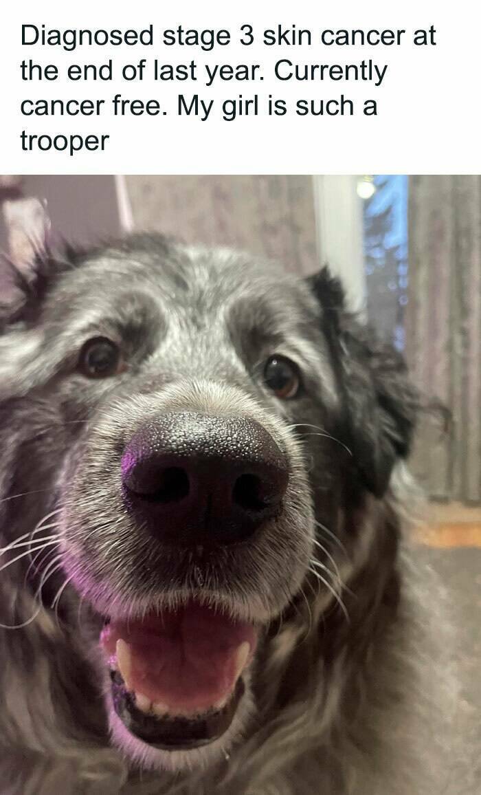 Wholesome Moments That Will Warm Your Heart