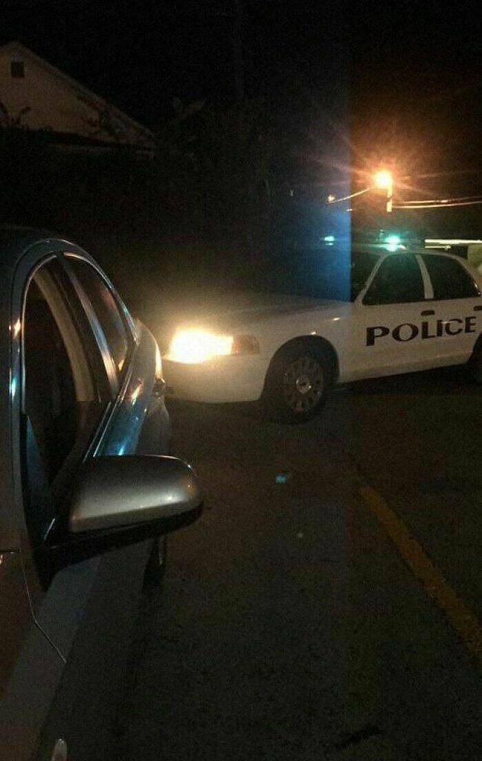 Wholesome Moments That Will Warm Your Heart