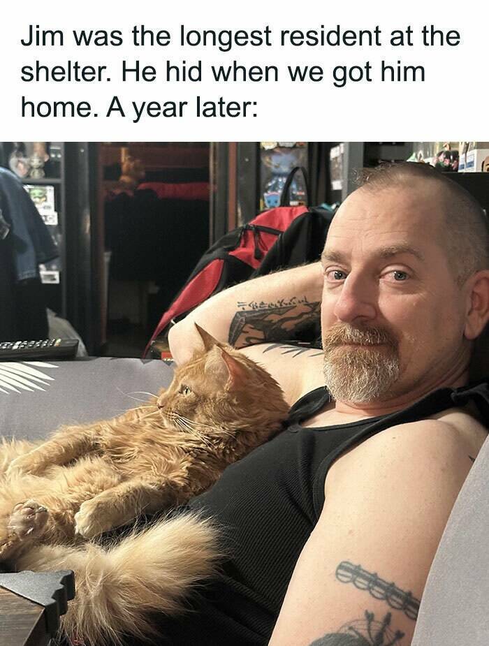 Wholesome Moments That Will Warm Your Heart