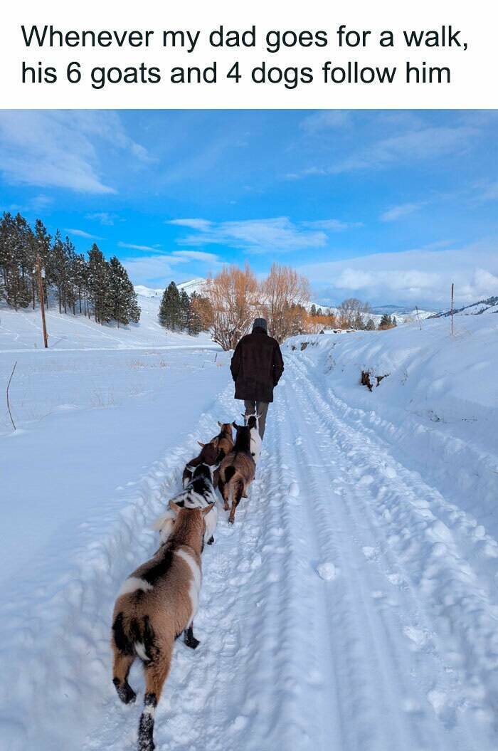 Wholesome Moments That Will Warm Your Heart