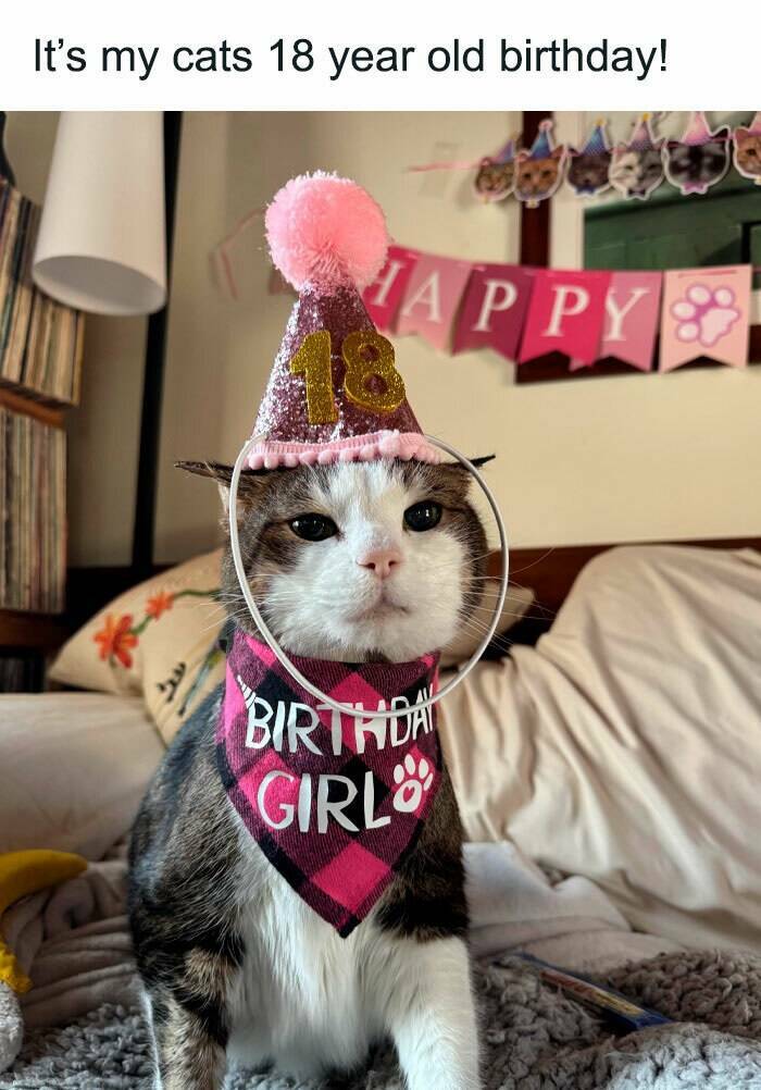 Wholesome Moments That Will Warm Your Heart