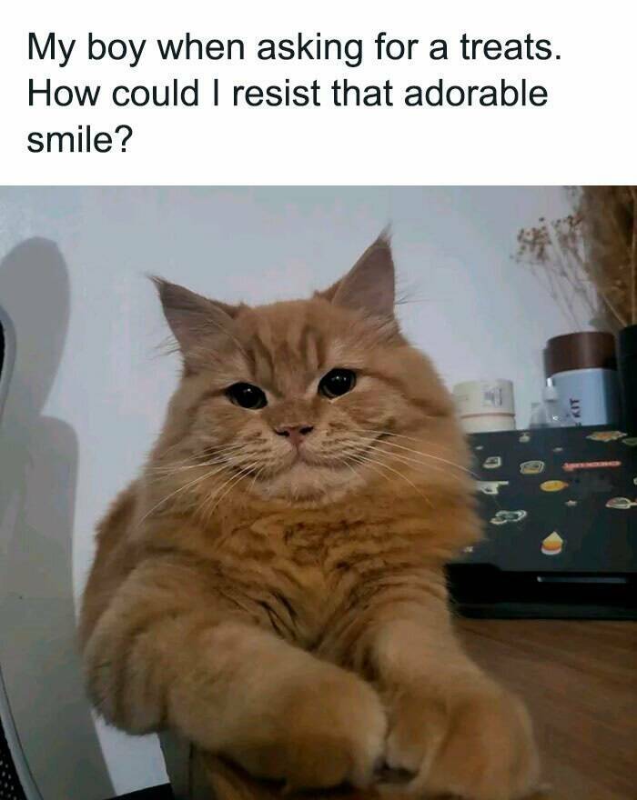 Wholesome Moments That Will Warm Your Heart