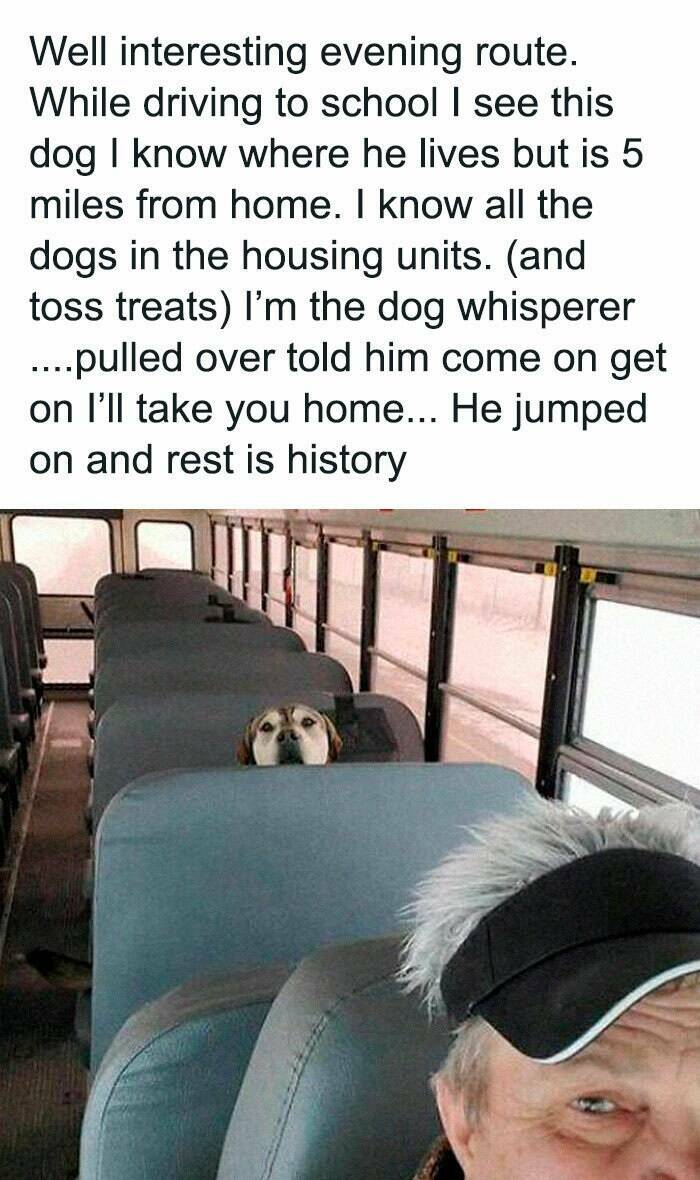 Wholesome Moments That Will Warm Your Heart