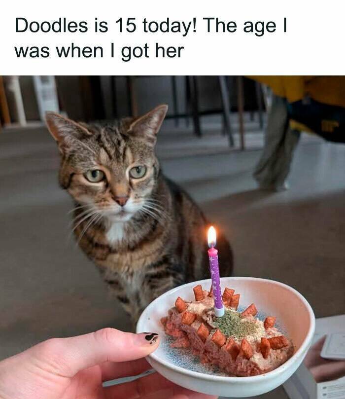 Wholesome Moments That Will Warm Your Heart