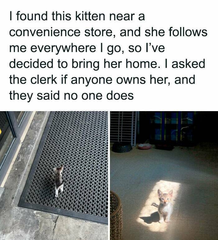 Wholesome Moments That Will Warm Your Heart