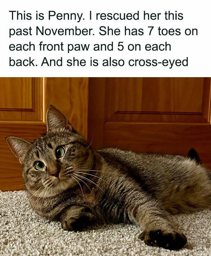 Wholesome Moments That Will Warm Your Heart