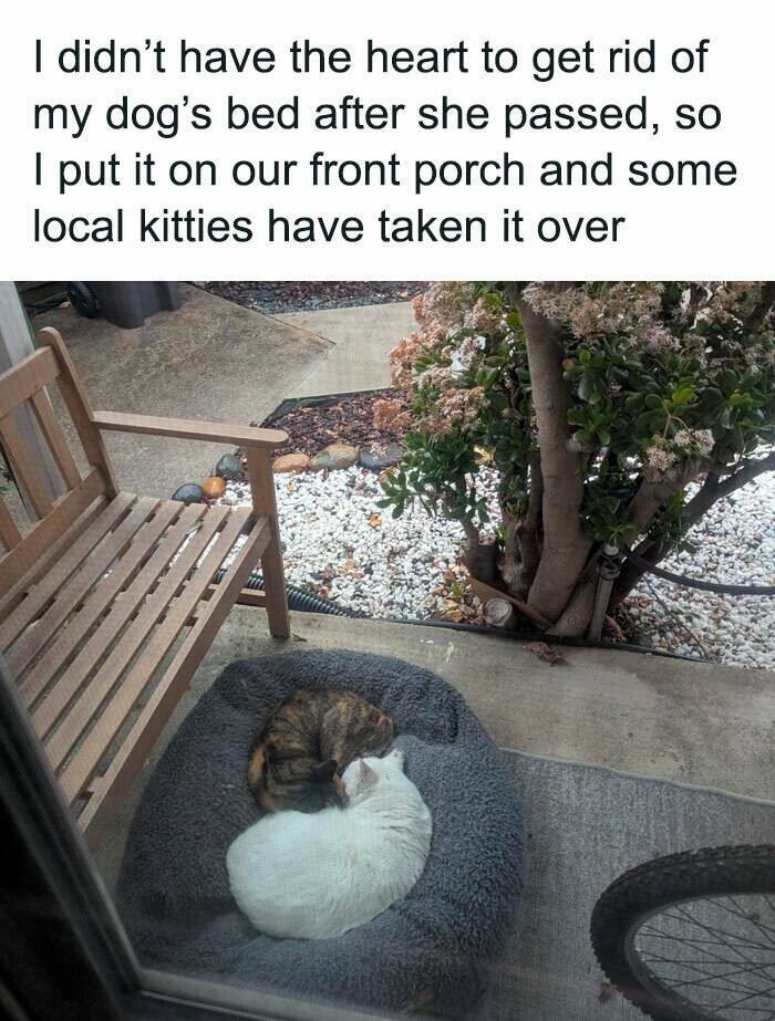 Wholesome Moments That Will Warm Your Heart