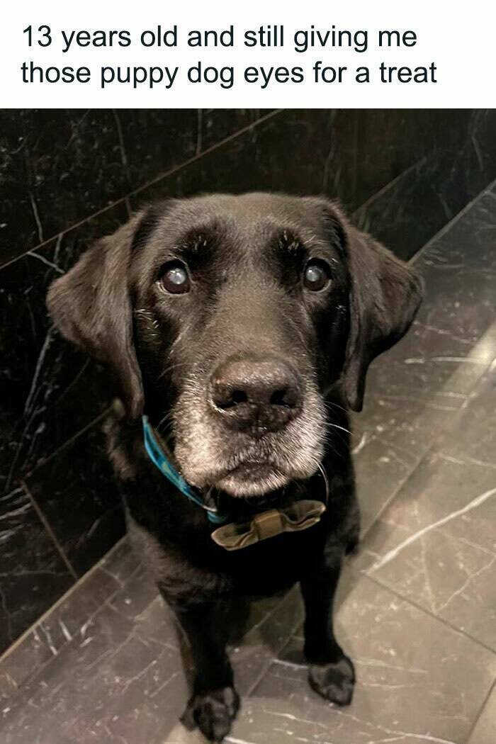 Wholesome Moments That Will Warm Your Heart