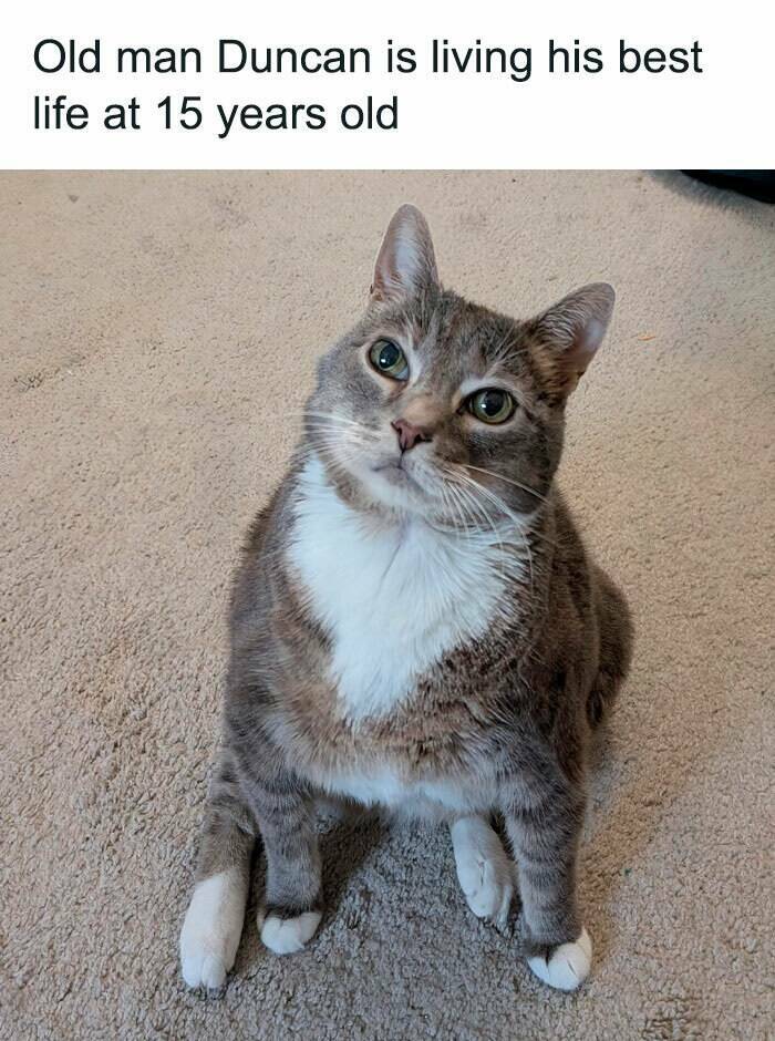 Wholesome Moments That Will Warm Your Heart