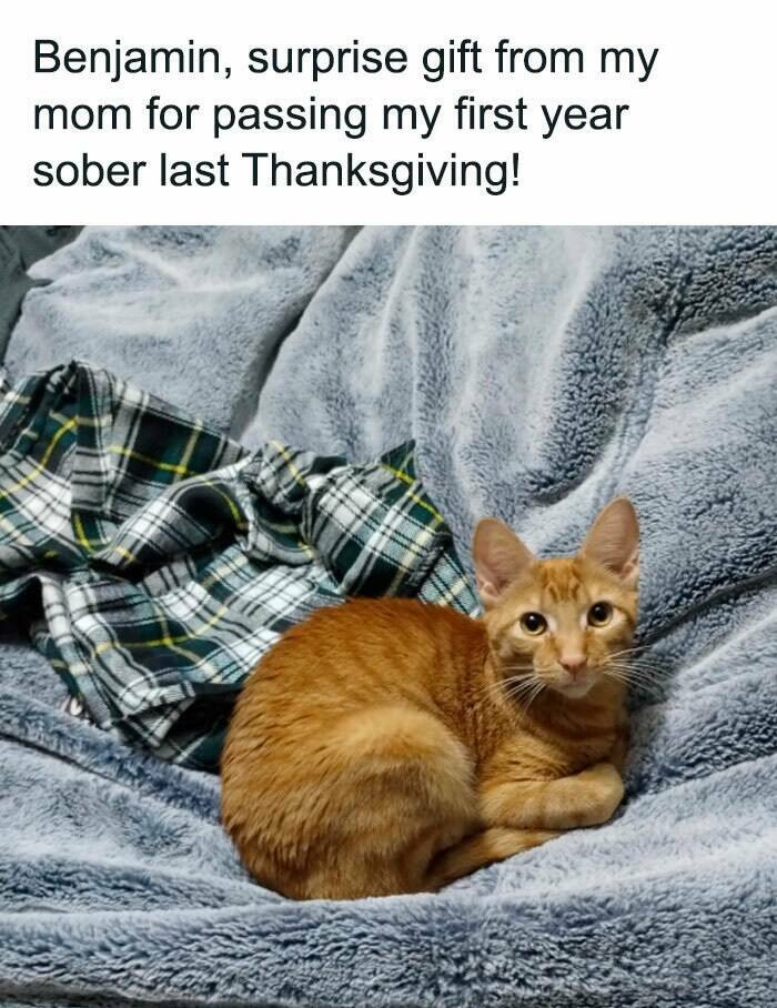 Wholesome Moments That Will Warm Your Heart