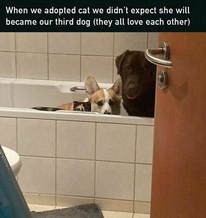 Wholesome Moments That Will Warm Your Heart