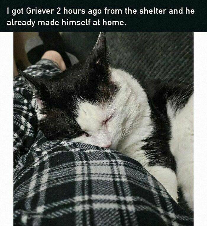 Wholesome Moments That Will Warm Your Heart