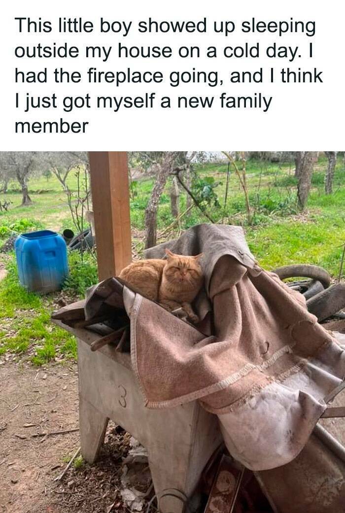 Wholesome Moments That Will Warm Your Heart