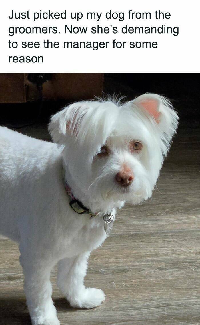 Wholesome Moments That Will Warm Your Heart