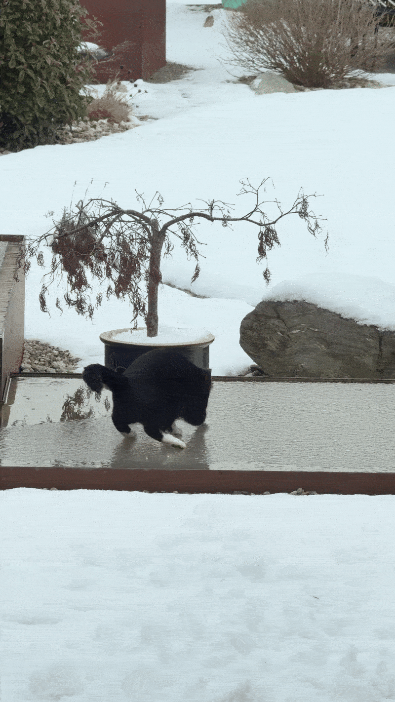 Perfectly Timed Animal Photos That Are Pure Comedy