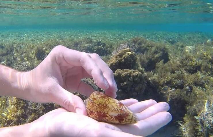 People Who Accidentally Snapped A Photo Of Pure Danger