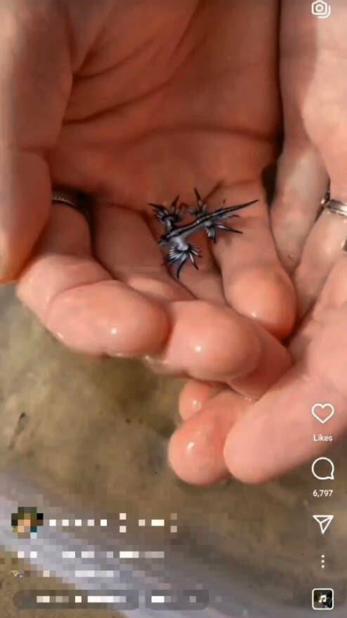 People Who Accidentally Snapped A Photo Of Pure Danger