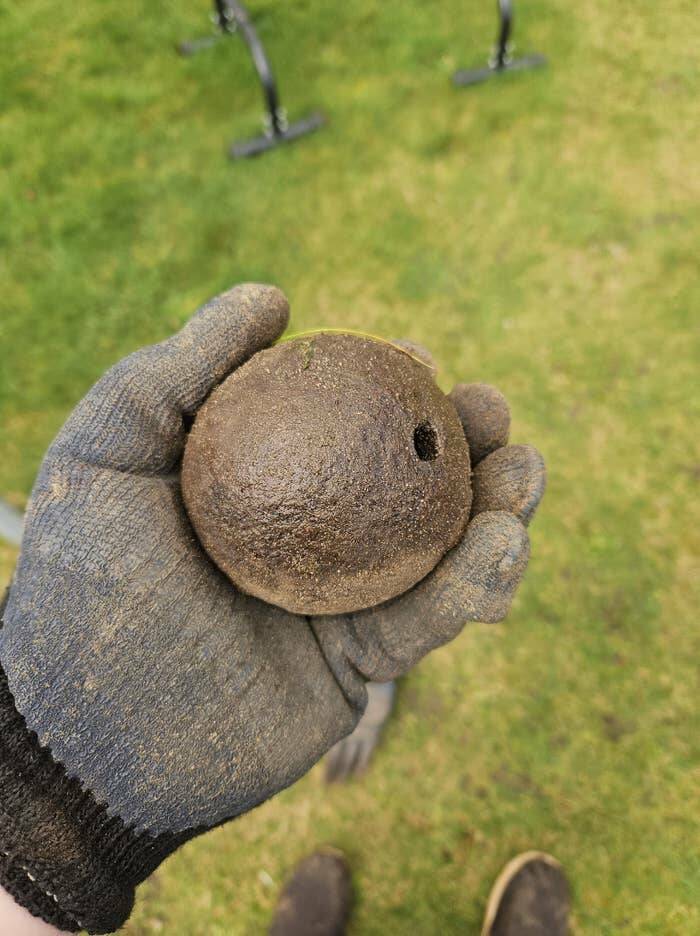 People Who Accidentally Snapped A Photo Of Pure Danger