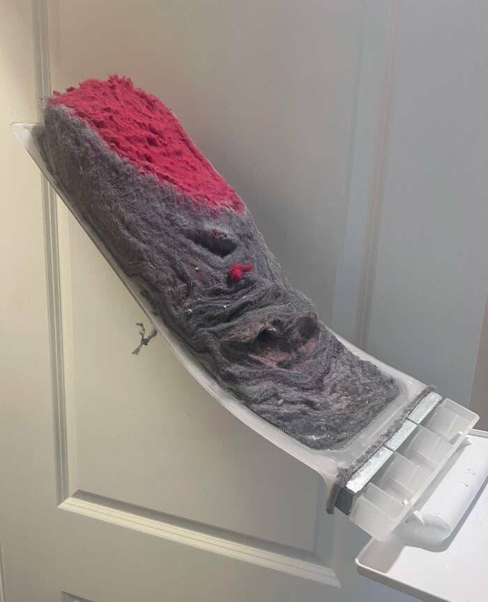 People Who Accidentally Snapped A Photo Of Pure Danger