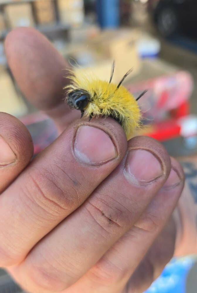 People Who Accidentally Snapped A Photo Of Pure Danger