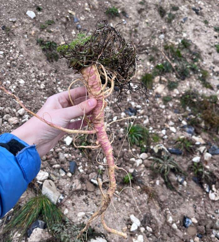 People Who Accidentally Snapped A Photo Of Pure Danger