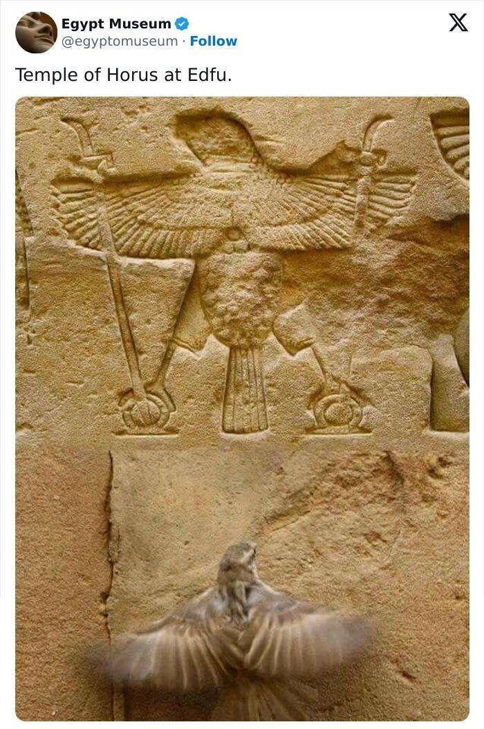 Egyptian Artifacts So Stunning, Even Pharaohs Would Be Envious