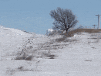 Daily Gifdump Daily Gifdump