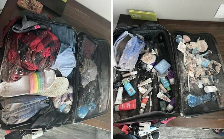 Luggage Fails You’ll Be Glad You Avoided