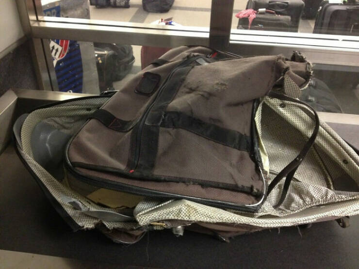 Luggage Fails You’ll Be Glad You Avoided
