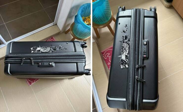 Luggage Fails You’ll Be Glad You Avoided