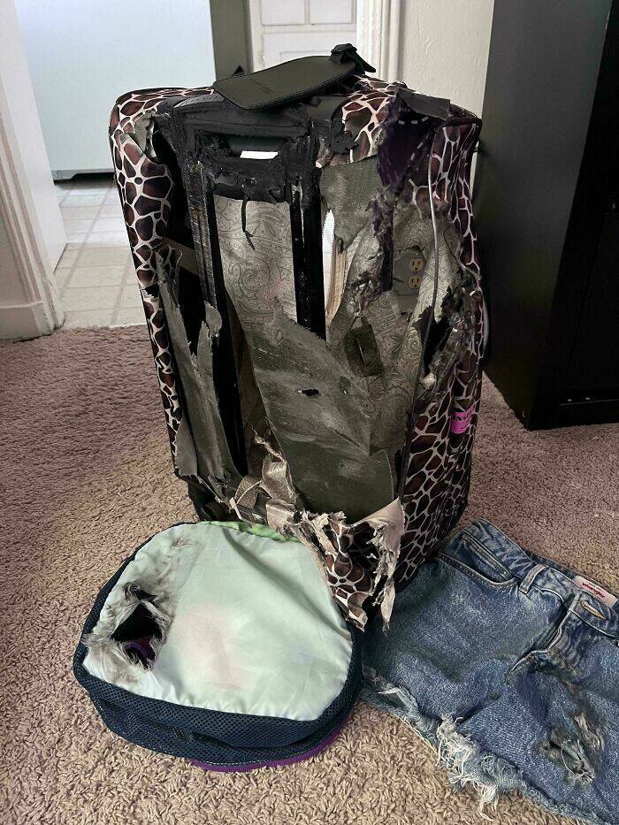 Luggage Fails You’ll Be Glad You Avoided