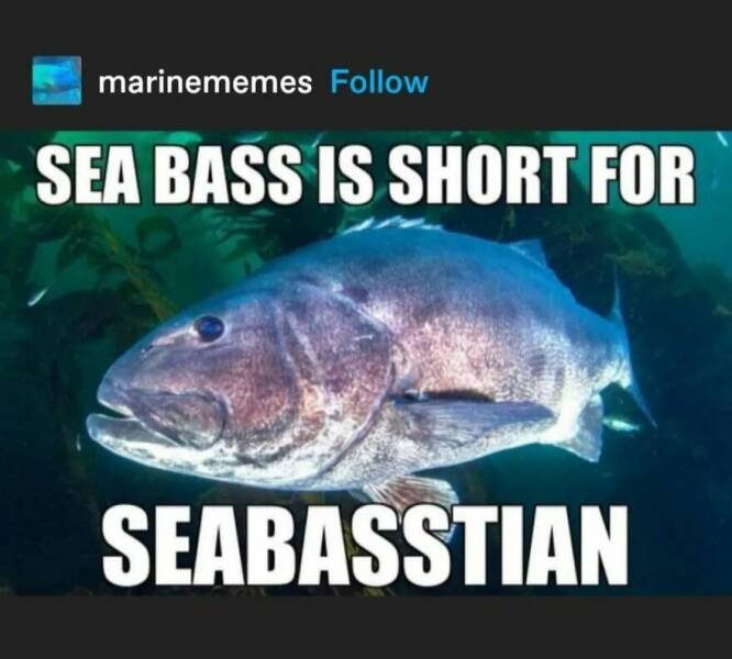 Punny Tweets And Jokes Guaranteed To Make You Chuckle