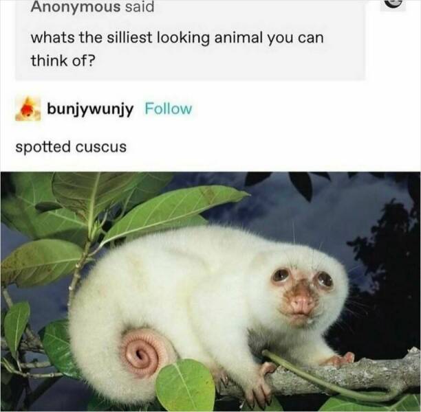 Punny Tweets And Jokes Guaranteed To Make You Chuckle