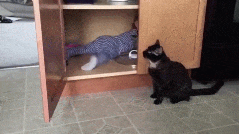 Daily Gifdump Daily Gifdump