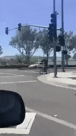 Daily Gifdump Daily Gifdump