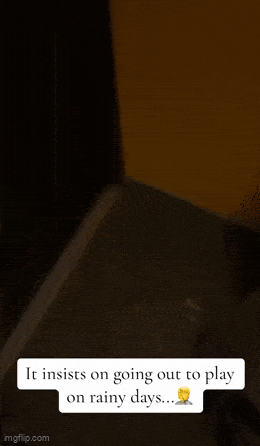 Daily Gifdump Daily Gifdump