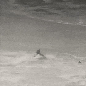 Daily Gifdump Daily Gifdump