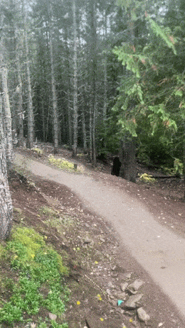 Daily Gifdump Daily Gifdump